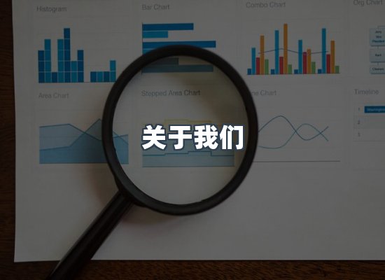 专业团队
